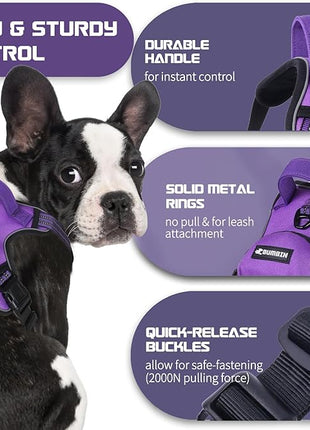 BUMBIN Dog Harness for Large Dogs, No Pull Adjustable No Choke Pet Vest with Dog Leash Fit Smart Reflective Pet Walking Harness for Training Easy Control Soft Handle Purple S