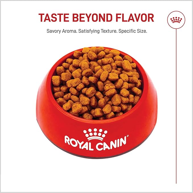 Royal Canin Breed Health Nutrition Yorkshire Terrier Adult Dry Dog Food, 10 lb Bag