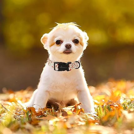 ARING PET Fall Dog Collars, Cute Autumn Maple Leaves Pet Collar with Quick Release Buckle for Small Medium Large Girl Boy Dogs-L