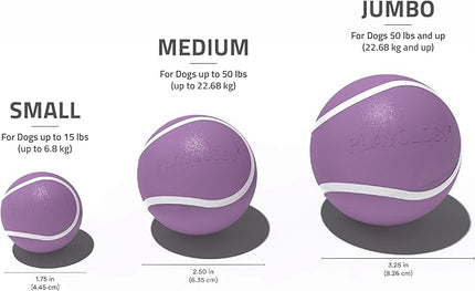 Playology Dog Toys | Squeaky Chew Ball - Bouncy Durable Floating Fetch Ball for Dogs | Medium Bacon Scented Toy - Easy to Clean and Made from Non Toxic Materials