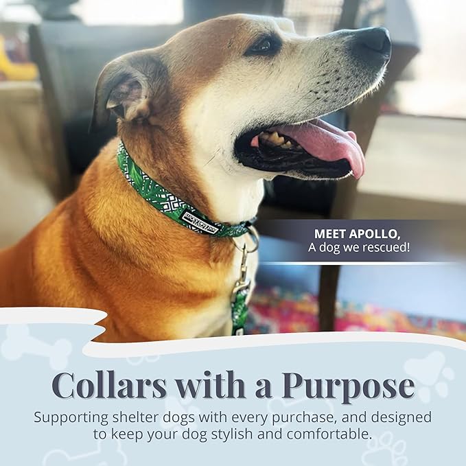 Lucky Love Dog Collar, Beautiful & Vivid Pattern Large Boy Dog Collars, Easy On & Off Clasp Accessory (Blue Laguna, L)