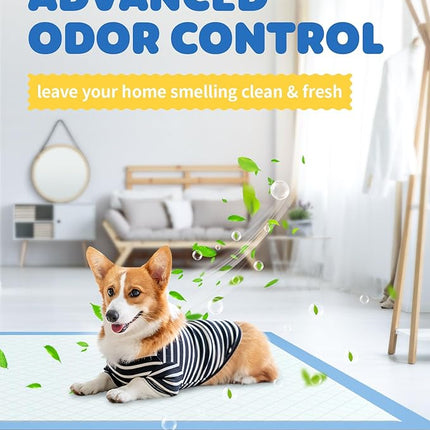 75-Pack XX-Large Puppy Pads - 38" x 28" Pee Pads for Dogs Potty Training with Leak-Proof Quick-Dry Design, 6-Layer Wee Wee Pads for Dogs, Blue