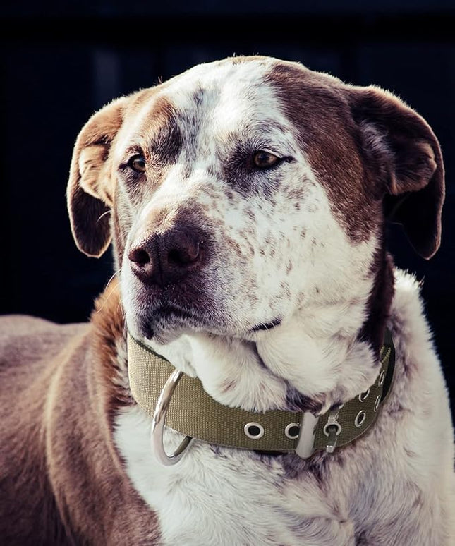 Dog Collar for Large Dogs - 2" Wide Tactical Collars with Handle for Extra Large Breed Dogs, Camo Military Heavy Duty 1/3" Thick Puppy Collar K9 Nylon Pet Collar L