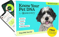 Ancestry Dog DNA Test: The Top-Selling DNA Consumer Brand, Breed Identification, Trait Insights, Health Report, Canine Genetics Analysis, Unique Pet Parent Gift, New Puppy Essentials