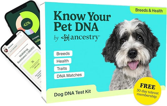 Ancestry Dog DNA Test: The Top-Selling DNA Consumer Brand, Breed Identification, Trait Insights, Health Report, Canine Genetics Analysis, Unique Pet Parent Gift, New Puppy Essentials