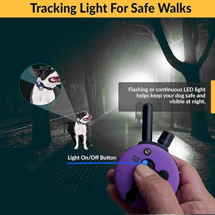 Educator E-Collar Humane Dog Training Collar with Remote, 100 Safe Tapping Stimulation Levels, Night Light, Waterproof, Rechargeable, 1/3 Mile 2 Small Dogs Double Bungee Bundle, Purple