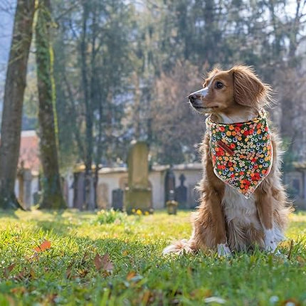 Lionheart glory Dog Bandana 1 Pack Washable Soft Cotton Daisy Print Bibs Scarf, Adjustable Kerchief Square Dog Bandanas for Small Dogs