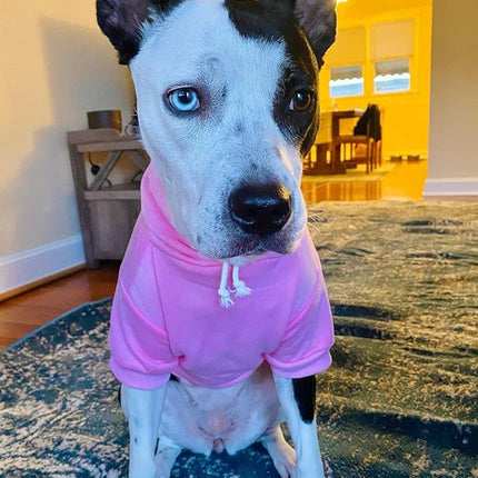 Blank Dog Sweatshirt Pet Hoodie for Medium Girl Dogs Doggie Clothes