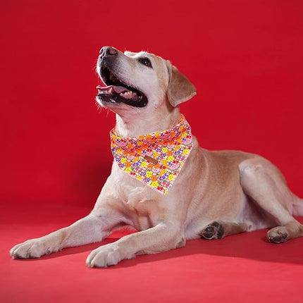 Little Tail 's Elegant Fruit Print Dog Bandana, Adjustable Birth DAY Bib Scarf - Summer Theme for Medium/Large Dogs