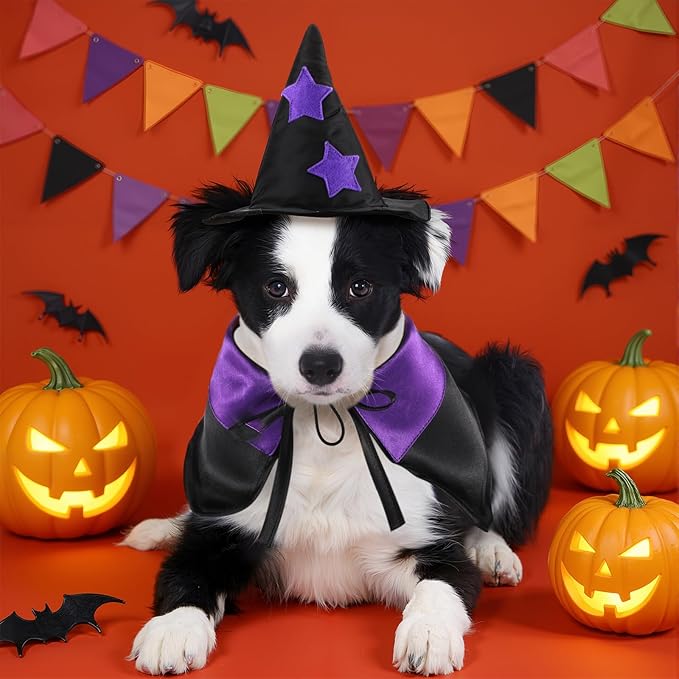 2 Sets Halloween Pet Costume Cats Witch Shaped Cloak and Hat Witch Cloak for Small Large Pets Gifts Party Favor(Small)