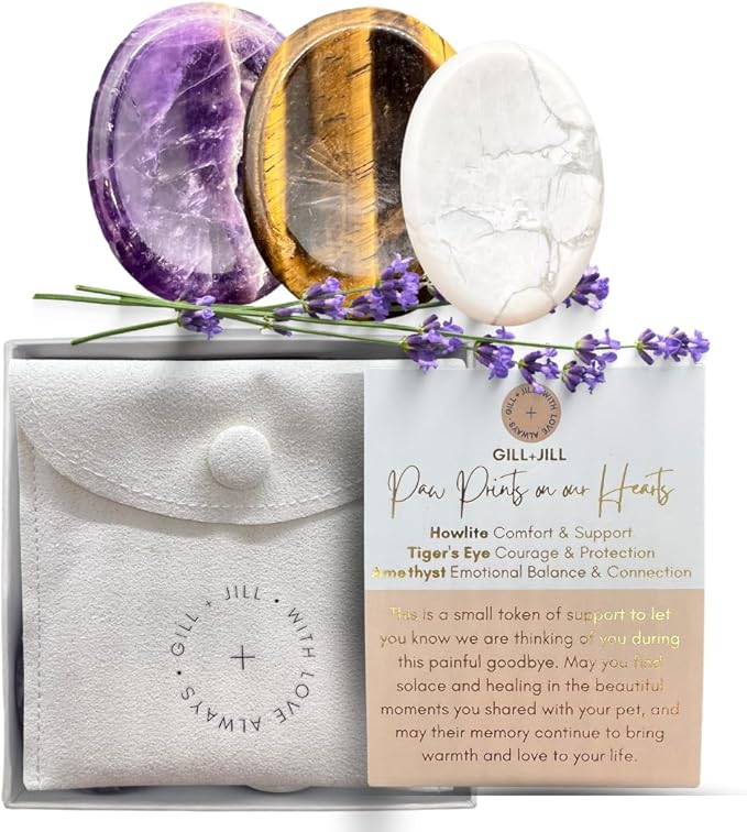 Paw Prints Comfort Worry Stones – Pet Loss Sympathy Gift for Loss of Dog – Dog Memorial Gifts for Loss of Dog with Amethyst, Tiger’s Eye & Howlite, Pet Memorial Gifts with Pouch & Message Card