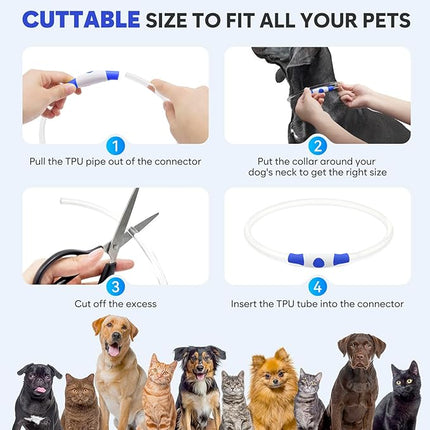 Light Up Dog Collar - Waterproof LED Dog Collar Rechargeble, TPU Cuttable Glow in The Dark Safety Dog Lights for Night Walking(Blue)