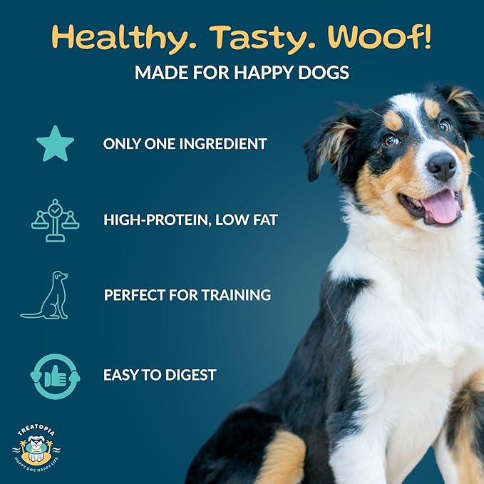 Beef Lung Nuggies Dog Treats, 2 LB Bag - All-Natural, Sustainable, Healthy, High Protein, Hand-Trimmed, Slow-Roasted, Made in The USA, Nutritious, No Additives, No Fillers