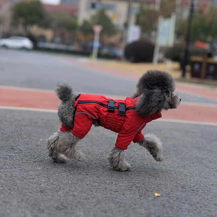 Lovelonglong Dog Coat, Red, S (Back 11", Chest 14.5"), Waterproof, Reflective, Windproof, Adjustable, Modern, Dog Winter, Small Medium Large Dogs, Cotton with Waterproof Outer Layer