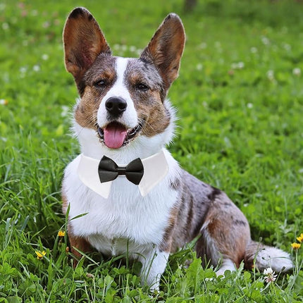 Dog Bowtie, KOOLMOX Tux Dog Collar for Weddings with Handcrafted Adjustable White Collar and Black Tie, Classic Neck Tie for Small to Medium Dogs Cats Puppies Valentine's Costumes