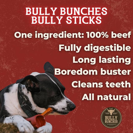 Bully Bunches Premium 12" Standard Odor-Free Bully Sticks for Medium & Large Dogs - Long-Lasting, Natural, Single-Ingredient 100% Beef Chews for Oral Health, Rawhide-Free (10-Pack) Made in USA