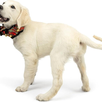 Huxley & Kent Ruff Pet Scrunchy | Shiny Christmas Plaid (Small) | Festive Christmas/Holiday Neckwear for Dogs/Cats | Fun Stretchable Costume Accessory | Soft Collar with Bells