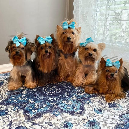 PUPIBOO Washable Pee Pads for Dogs & Cats - Super Absorbent Reusable Puppy Training Pads - 100% Waterproof, Leak-Proof, Non-Slip Pet Pads for Housebreaking, Whelping & Indoor Floor Protection