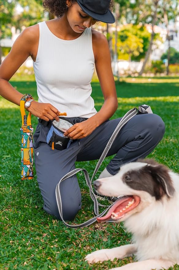 OllyDog Goodie Treat Bag, Dog Treat Pouch, Waist Belt Clip for Hands-Free Training, Magnetic Closure, Dog Training and Behavior Aids, Three Ways to Wear (Blue Heron)