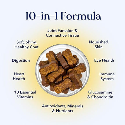 Honest Paws (90 Count) Dog Multivitamin Soft Chews with 10 Essential Vitamins - Joint, Coat, Immune, Eye & Heart Support - with Glucosamine, Chondroitin & Omega-3 - Beef Flavor