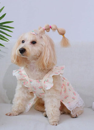 QWINEE Cute Flower Pattern Dog Dress Ruffle Trim Princess Dress Cat Vest Dress Lace Trim Summer Dress Pet Clothes for Small Medium Cats Dogs Kitten Puppy Pink A L