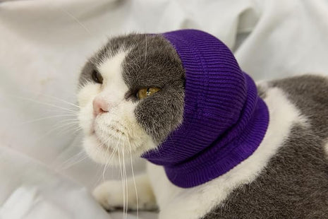 Cat Hematoma Ear Wrap, Cat Ear Wrap Cats Anxiety Relief – Noise Canceling for Fireworks, Thunderstorms Purple S