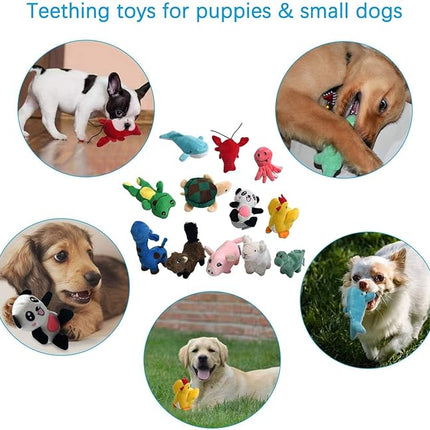 LEGEND SANDY Squeaky Plush Dog Toy Pack for Puppy, Small Stuffed Puppy Chew Toys 12 Dog Toys Bulk with Squeakers, Cute Soft Pet Toy for Small Medium Size Dogs