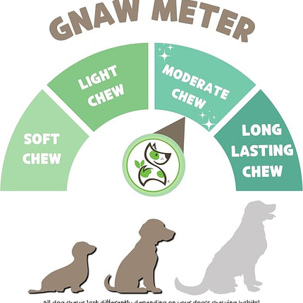 Nature Gnaws Braided Gnaws for Dogs 5-6" (3 Count) - Long Lasting for Small and Medium Dogs - Natural Beef Bully Stick Combo Braids - Rawhide Free