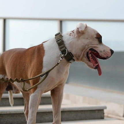 EXCELLENT ELITE SPANKER Tactical Small Puppy Dog Collar Nylon Adjustable Heavy Duty Military for Small Medium and Large Dogs Pet Soft Padded Dog Collar(COB-M)