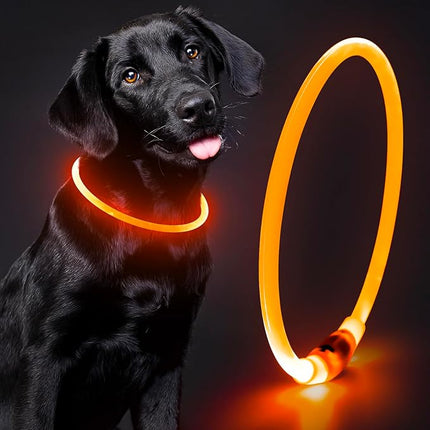 Lighted Dog Collar - Waterproof Puppy Collar Light Rechargeable, High Visibility Glowing Dog Lights for Night Walking (Orange)