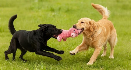 Jalousie Multipack Dog Squeaky Toys Strong Almost Indestructible, with Added Liner for Longer Play Dog Chew Toys (Medium to Large Breeds, 5 Pack Checks for Aggressive Chewers)