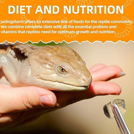 6 Pack Canned Snails for Reptiles, Fish, Birds and Small Animals, Snails, Healthy High Protein Treat, Reptile Bird Fish Food 7.2 Ounces Total