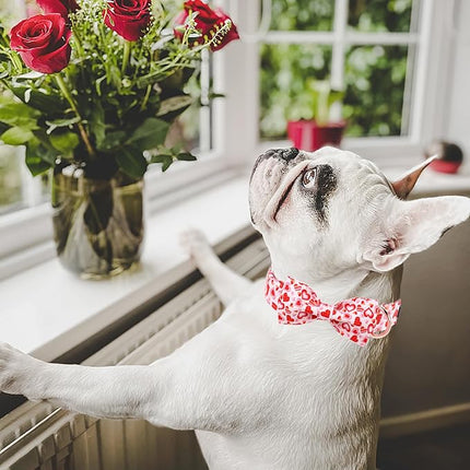 Maca Bates Valentine's Day Dog Collar with Fancy Bow for Large Girl Boy Dogs,Love Pink Hearts Pattern,Adjustable Durable Soft Valentine Gift for Female Male Puppy