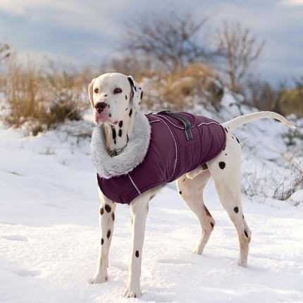 Lelepet Warm Dog Coat Waterproof Dog Jacket for Small Dogs Reflective Fleece Vest with Adjustable Buckle Hook & Loop Windproof Cold Weather Coats for Small Medium Large Dogs, Dark Purple, S