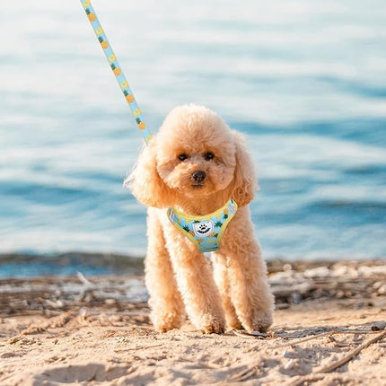 EXPAWLORER Small Dog Harness and Leash Set - Cute Puppy Harness Leash Dog Collar with AirTag Holder Silicone Case, Soft Padded Step in Pet Vest Reflective for Outdoor Walking, Pineapple XXS
