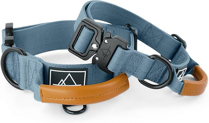 Made to ROAM Premium Explorer Control Collar - Adjustable Heavy Duty Nylon Dog Collar with Quick-Release Metal Buckle and Leather Handle (California Horizon, Size 2, Control)
