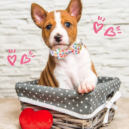 ARING PET Valentine's Day Dog Collar with Bow, Cute Adjustable Heart Bowtie Pet Collars with Metal Buckle for Puppy Small Medium Large Boy Girl Dogs-XL