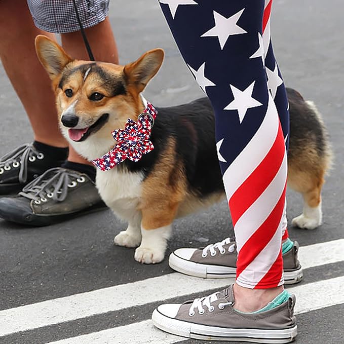 Lionheart glory American Flag Dog Collar 4 of July Dog Collars with Flower Independence Patriotic Dog Flower Collars Heavy Duty Adjustable Collar Flower for Medium Dogs Pet Gift