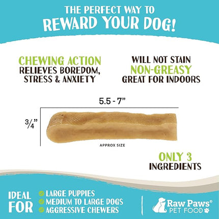 Raw Paws Himalayan Yak Chews for Dogs, Large (50 Pack) - Packed in USA - Tibetan Yak Cheese Dog Chews for Medium to Large Breeds - Hard Milk Dog Chew Bones - Single Ingredient - Long Lasting