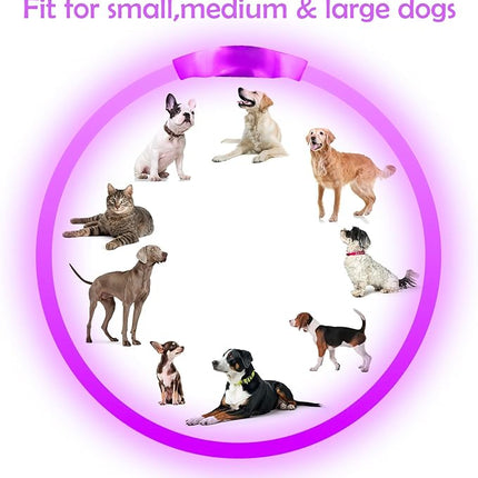 Light up Dog Collar, BSEEN USB Rechargeable Flash Dog Necklace Light, Pet Safety Collar Makes Your Beloved Dogs Be Seen at Night for Small Medium Large Dogs(Purple)