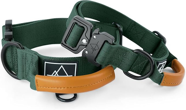 Made to ROAM Premium Explorer Control Collar - Adjustable Heavy Duty Nylon Dog Collar with Quick-Release Metal Buckle and Leather Handle (Maine Marina, Size 2, Control)