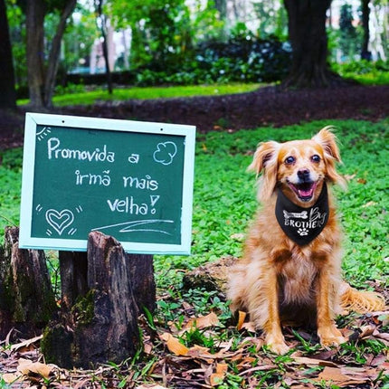 Big Brother Dog Bandana Reversible Triangle Bibs Pet Scarf