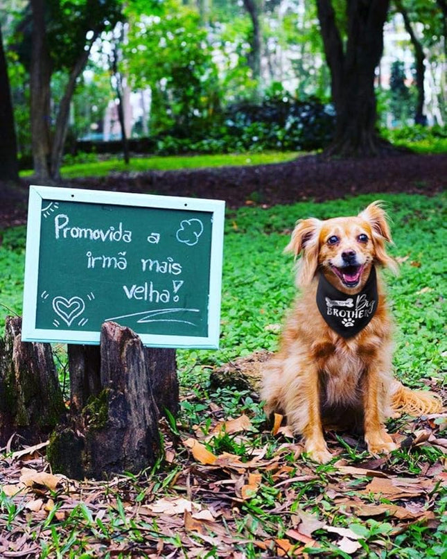 Big Brother Dog Bandana Reversible Triangle Bibs Pet Scarf