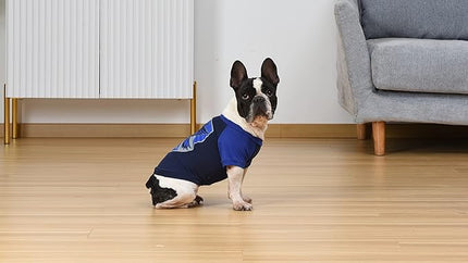 Harry Potter Ravenclaw Dog T-Shirt - Pet Costume Shirt for Dogs - Officially Licensed Dog Apparel & Accessories for Hogwarts Houses, Size Extra Large