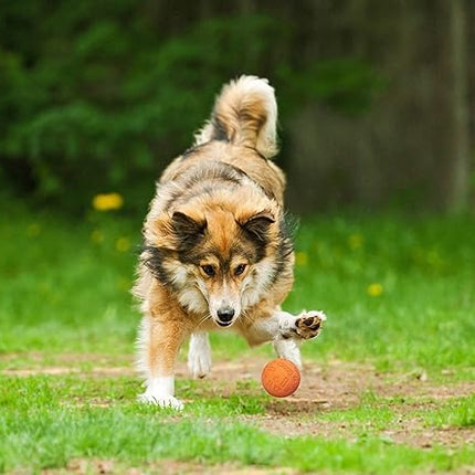 Snug Rubber Dog Balls for Small and Medium Dogs - Tennis Ball Size - Virtually Indestructible (3 Pack - Orange)