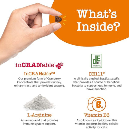 Zesty Paws Cranberry Urinary Tract Bites for Cats - Kidney & Urinary Tract Health - Soft Chews with D-Mannose, Vitamin B6 & L-Arginine - Immune & Gut Support - Bacon - 60 Count