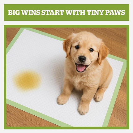 Pogi’s Puppy Pads with Sticky Tabs – Medium, Super Absorbent, Odor Blocking, 40-Count (18x24in)