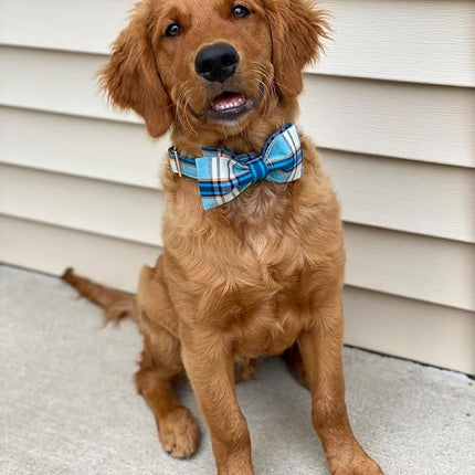 Lionet Paws Boy Dog Collar with Bowtie, Comfortable Adjustable Cute Blue Plaid Bow Tie Collar for Male Dogs Gift, Large, Neck 16-24 inches
