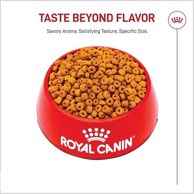 Royal Canin Breed Health Nutrition Labrador Retriever Puppy Dry Dog Food, 30 lb.