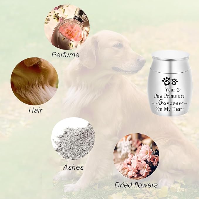 Small Pet Urns for Dogs Ashes Mini Urn Dog Ashes Cremation Keepsake Pet Memorial Urns Gift，Silver